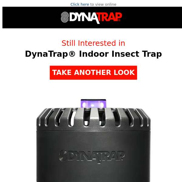 Seasonal pests stealing the spotlight? - Dyna Trap