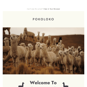 Introducing Alpaca Week at Pokoloko 🍂🦙