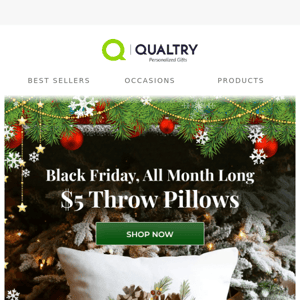 Black Friday Month: $5 Throw Pillows