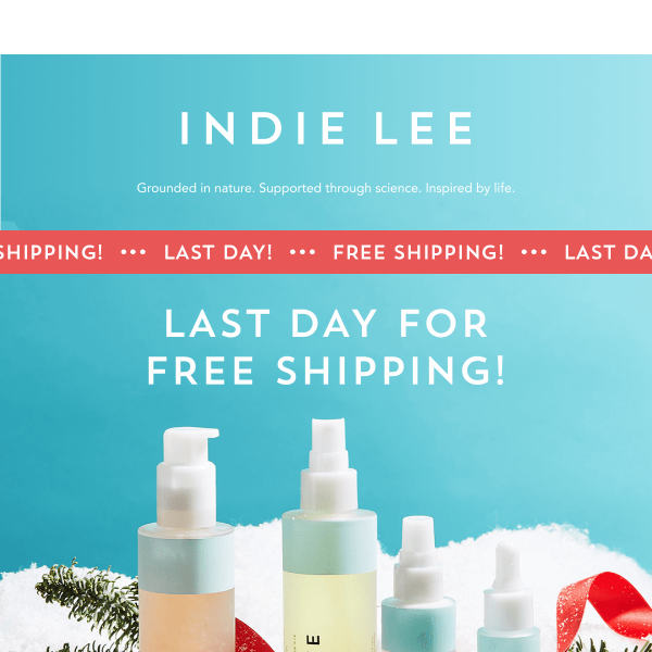 FREE SHIPPING - Last Day!