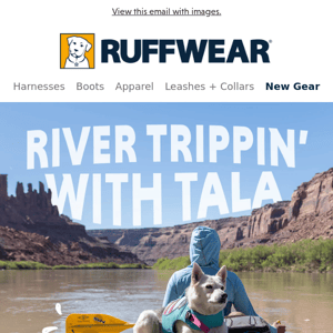 River Trippin’ + Canyon Campin’ = Tail Waggin’