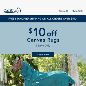 $10 off all Canvas Rugs! 🐴