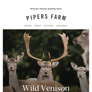 Wild Venison Season Ending Soon