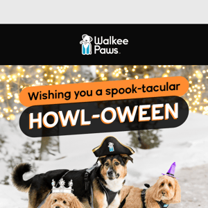 HAPPY HOWL-OWEEN! 🎃🎃🎃