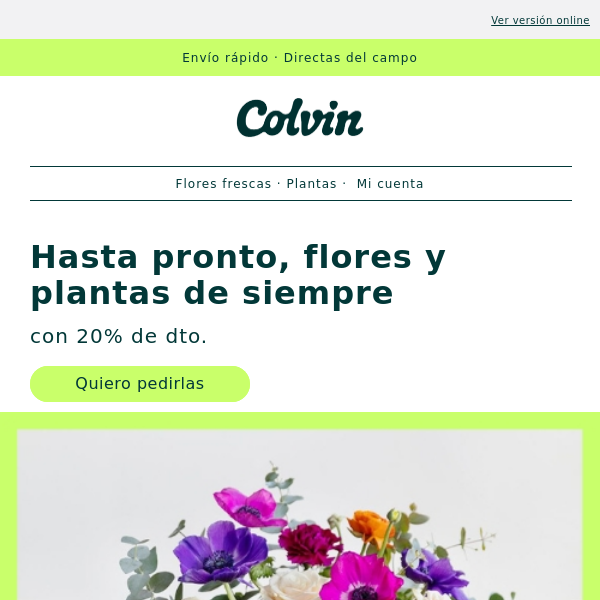 Últimos días: ramos y plantas de siempre con -20%⌛ - The Colvin Co
