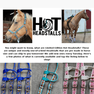 What are Limited Edition Hot Headstalls?