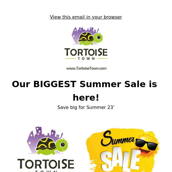 Baby Tortoise and Baby Turtle Sale