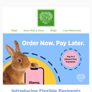 Enjoy Now. Pay Later. 🐇