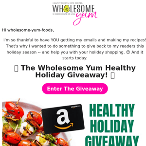 BIG holiday gift for you Wholesome Yum Foods