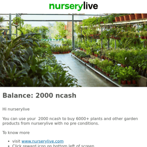 🌻 2000 ncash for Green Diwali, Nurserylive | 16 Oct