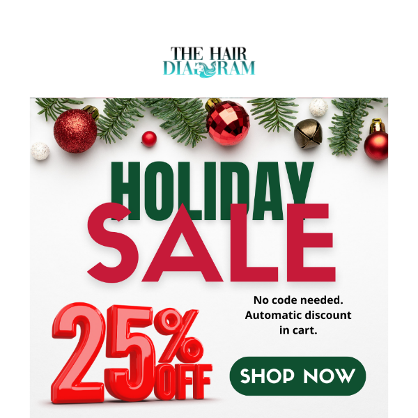 25% off Holiday Sale on All Bold Hold Products!