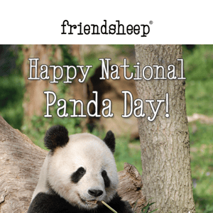 Happy National Panda Day! 15% Off 🐼💕