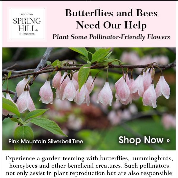 Honeybees & Butterflies Await: Free Shipping on $75+! 🚛
