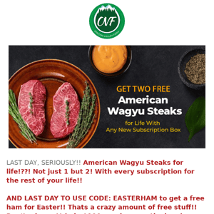 LAST DAY!! Free Wagyu for life🥩!