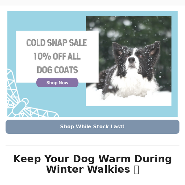 🥶 COLD SNAP SALE - 10% Off All Dog Coats