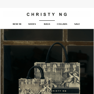 NEW: Rosa Bag ❤️ - Christy NG