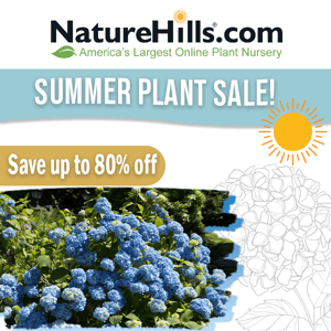 Blooming Plants up to 80% off!