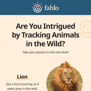 7 Amazing Ways to Track Animals