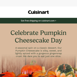 Happy National Pumpkin Cheesecake Day 🍂