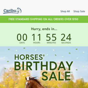 Horses' Birthday Sale Ends Today 🐎