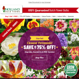 SHIPS QUICK: 75% OFF Select Perennials!