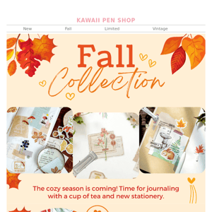 【NEW】FALL COLLECTION is here!🍂🍁🎃