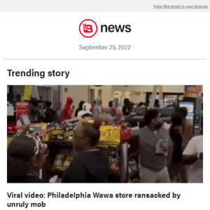 Viral video: Philadelphia Wawa store ransacked by unruly mob