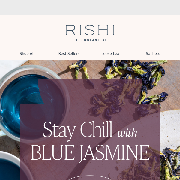 Blue Jasmine: Stay Chill the Last Days of Summer