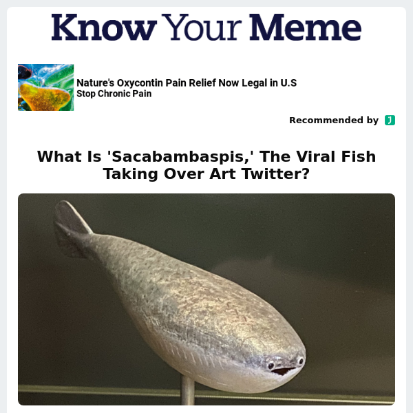 What Is 'Sacabambaspis,' The Viral Fish Taking Over Art Twitter?