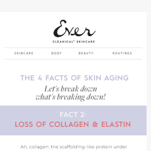 3 ingredients to protect against collagen loss💪