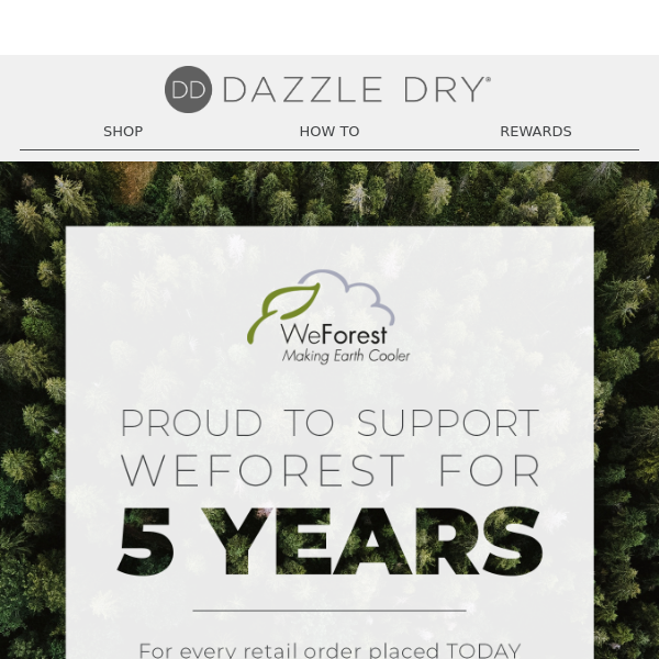 Dazzle Dry + WeForest