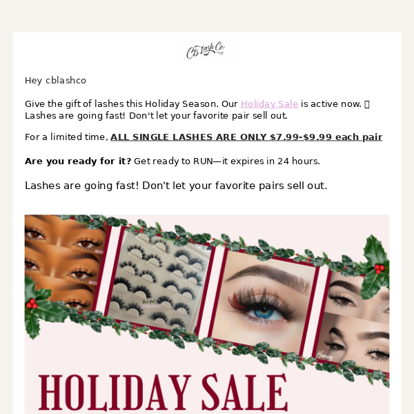 HOLIDAY SALE 🎁