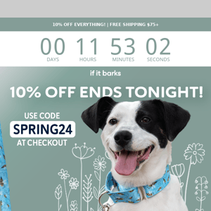 ALMOST OVER! Fetch This Deal Before It's Gone!