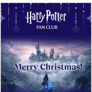 Merry Christmas, Harry Potter Shop!