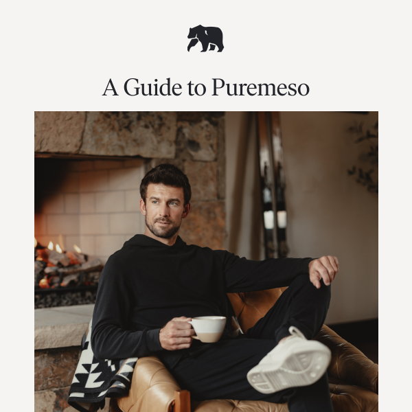 A Guide to NEW Puremeso