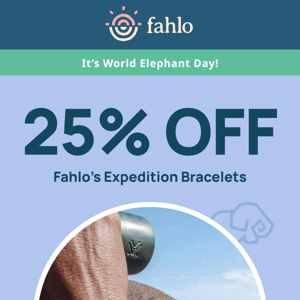 World Elephant Day: 25% Off Expedition Bracelets