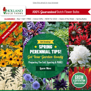 I Beg Your Garden!? 🌱 DIY Perennial Tips
