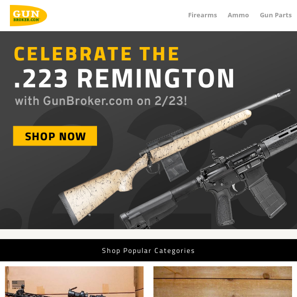 Celebrate the 223 Remington with GunBroker on 2/23!