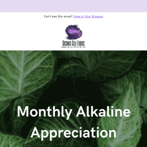 Exclusive 4-Hour Alkaline Appreciation Sale