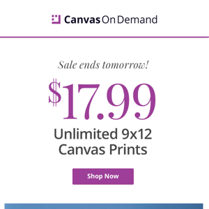 9x12 canvas for $18 goes away tomorrow!