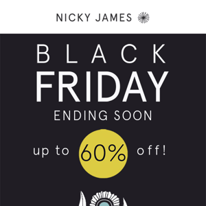 BLACK FRIDAY Ends Midnight Monday