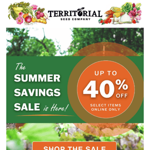 Summer Savings Sale! 🌞 Up to 40% OFF 🌞 
