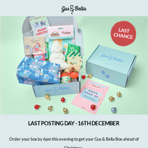 🎅 LAST DAY to get Gus And Bella's gift