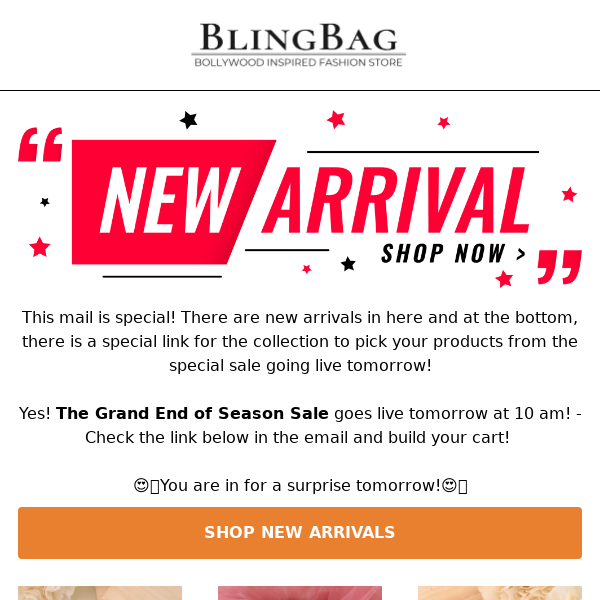 Bling Bag, End of Season Sale Leaked!