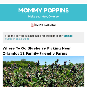 Where To Go Blueberry Picking Near Orlando: 12 Family-Friendly Farms