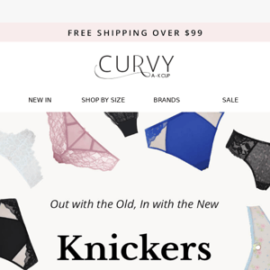 Knicker Crisis Alert: Time for a Knicker Makeover, Curvy Bras