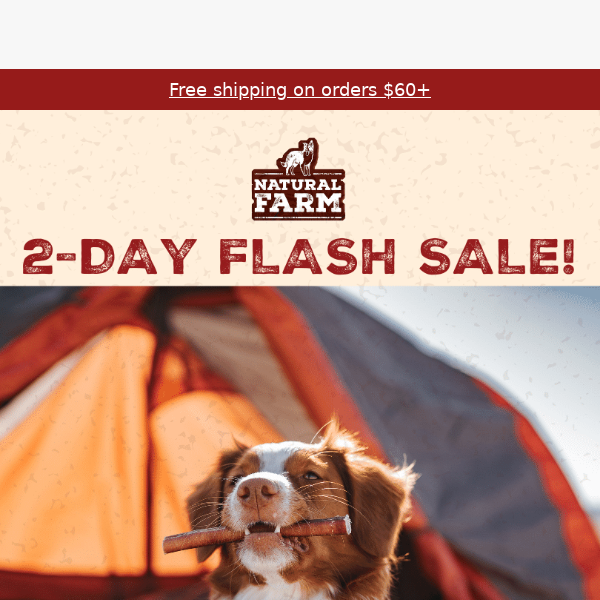 Flash Sale Alert: 20% Off Select Treats!