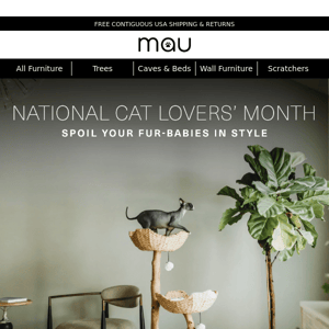Spoil the cat lover in your life
