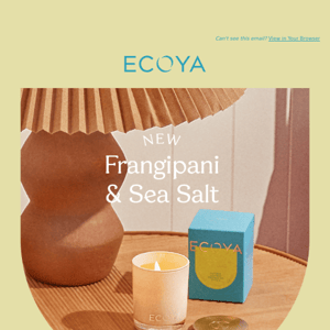New: Frangipani & Sea Salt 🌊💙
