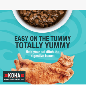 15% OFF Minimal Ingredient Stews for Cats